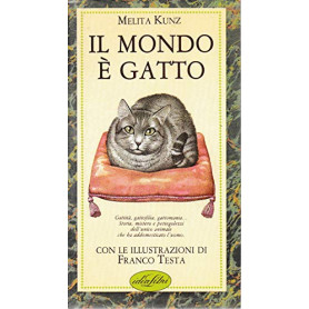 Il mondo è gatto