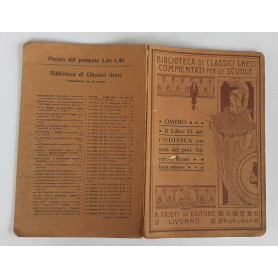 Il libro VI dell'Odissea