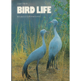Bird Life