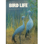 Bird Life