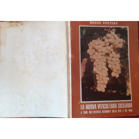 La nuova viticultura siciliana