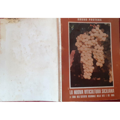 La nuova viticultura siciliana