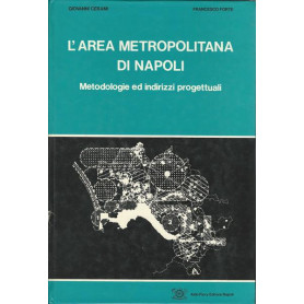 L'AREA METROPOLITANA DI NAPOLI. Metodologie ed indirizzi progettuali