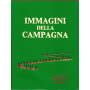 IMMAGINI DELLA CAMPAGNA. TERRE DI SIENA TRA L'ORCIA E LA CHIANA