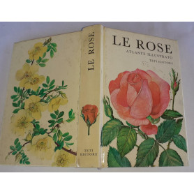 Le rose Atlante illustrato
