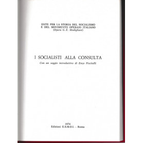 I socialisti alla consulta