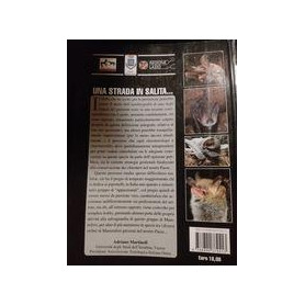 I chirotteri del parco regionale Marturanum