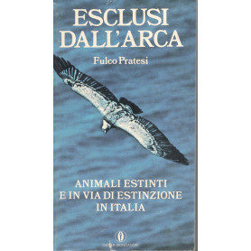 Esclusi dall'arca