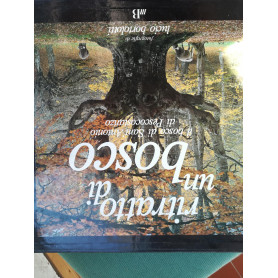 Ritratto di un bosco