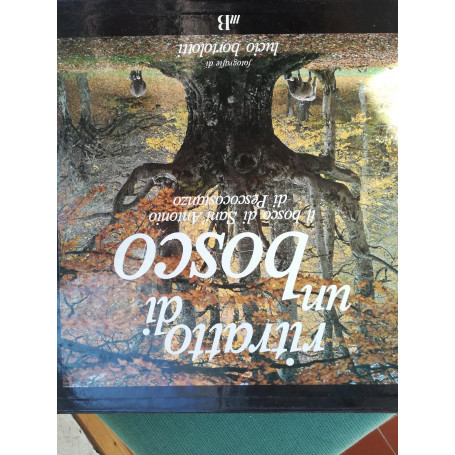 Ritratto di un bosco