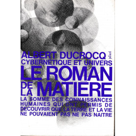 Cybernetique et univers
