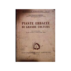 Piante erbacee di grande coltura