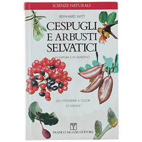 Cespugli e arbusti selvatici in natura e in giardino