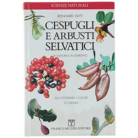 Cespugli e arbusti selvatici in natura e in giardino