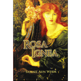 Rosa Ignea