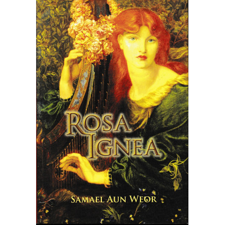 Rosa Ignea