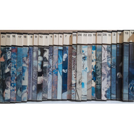 Lotto: 26 volumi "I grandi maestri della pittura moderna"