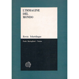 L'IMMAGINE DEL MONDO