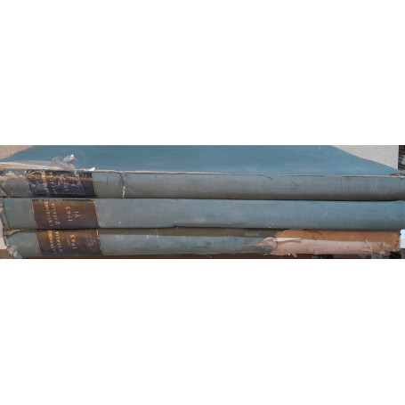 Raccolta di Avvenire d'Italia