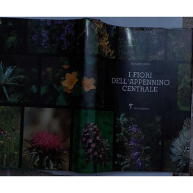I fiori dell'appennino  centrale