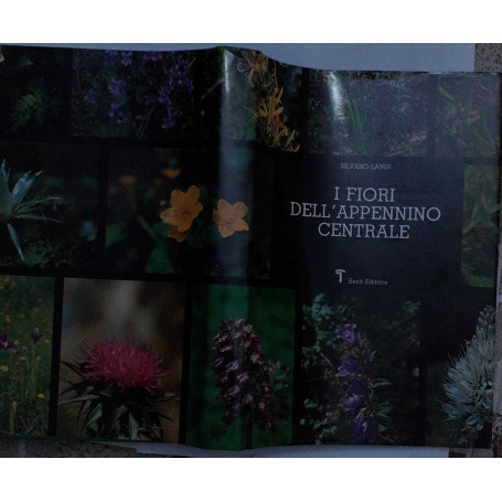 I fiori dell'appennino  centrale