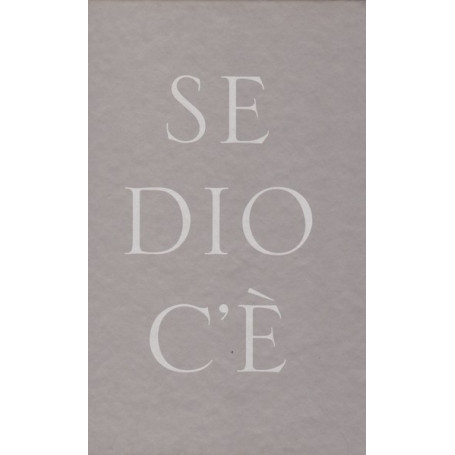 Se Dio c'è. Le grandi domande. Dialogo con Piero Coda.