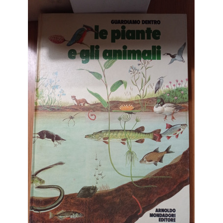 Guardiamo dentro le piante e gli animali