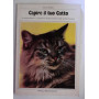 Capire il tuo gatto