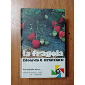 La fragola
