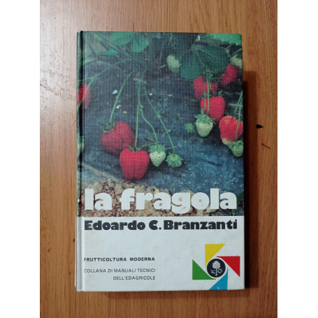 La fragola