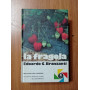 La fragola