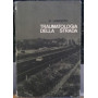 Traumatologia della strada
