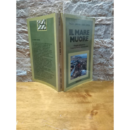 Il mare muore