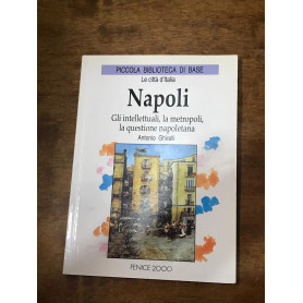 Napoli gli intellettuali