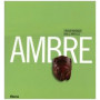Ambre. Trasparenze dall'antico. Catalogo della mostra (Napoli