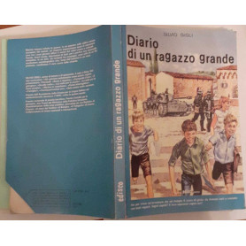 Diario di un ragazzo grande