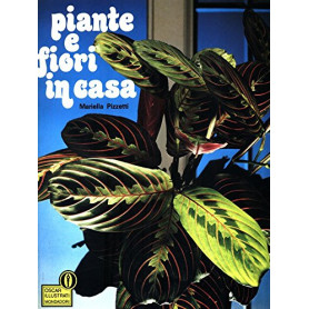 Piante e fiori in casa