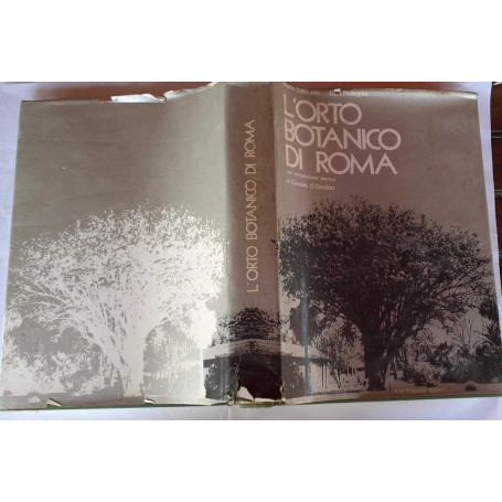 L' orto botanico di Roma