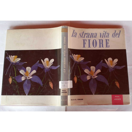 La strana vita del fiore