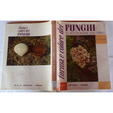 Forma e colore dei funghi