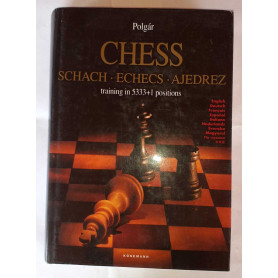 Chess training in 5333+1 positions