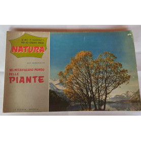 Albi figurati per lo studio della natura nel meraviglioso mondo delle piante