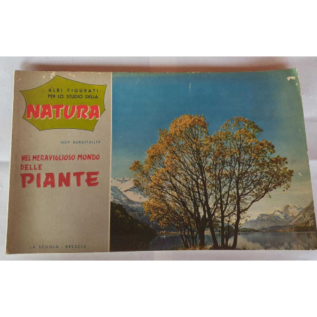 Albi figurati per lo studio della natura nel meraviglioso mondo delle piante