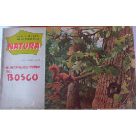 Albi figurati per lo studio della natura. Nel meraviglioso mondo del bosco