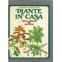 Piante in casa