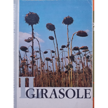Il girasole