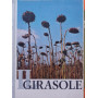 Il girasole