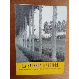 LA SAPERDA MAGGIORE