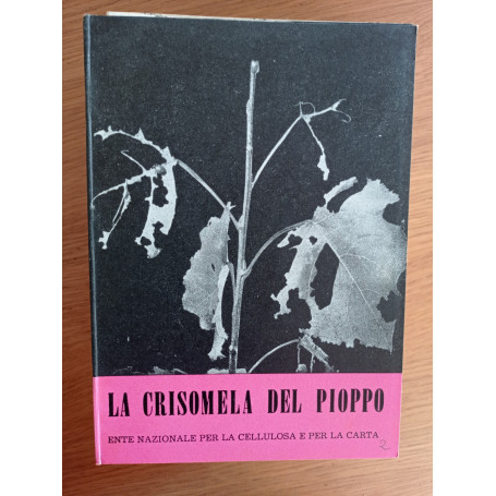 La Crisomela del pioppo