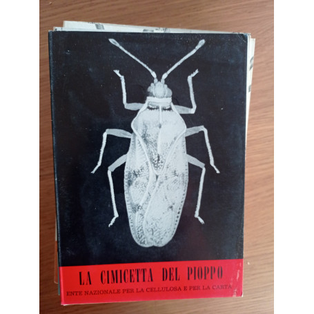 La cimicetta del pioppo